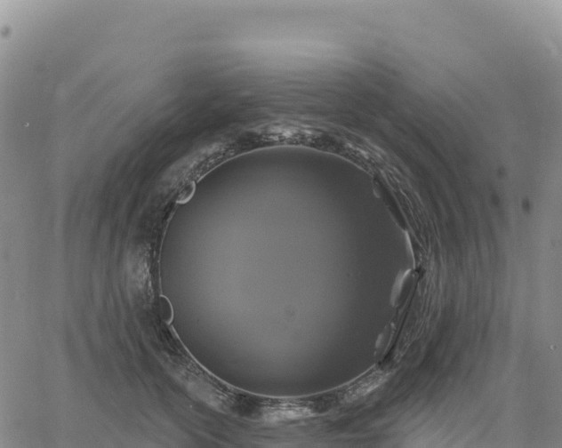 X0000061750754200512091635