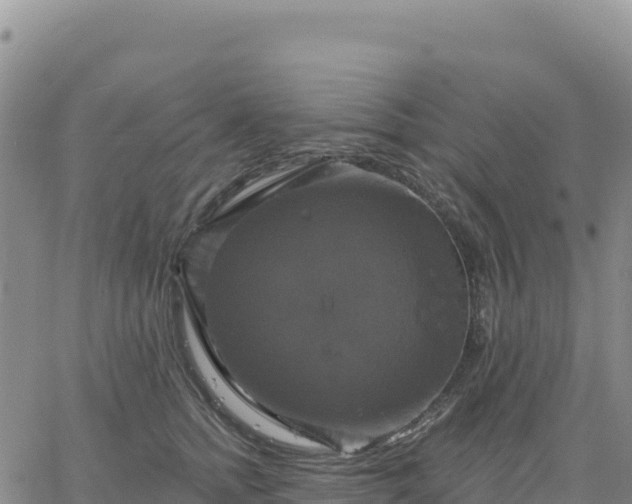 X0000061750758200512091635