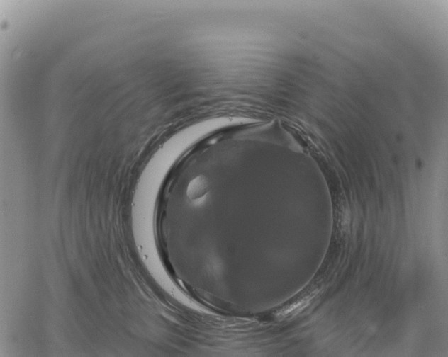 X0000061750759200512091635