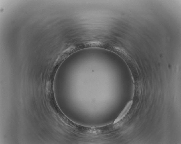 X0000061750760200512091635