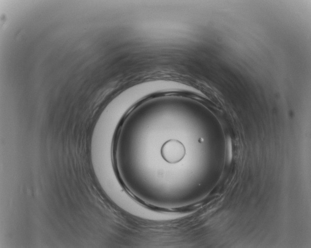 X0000061750762200512091635