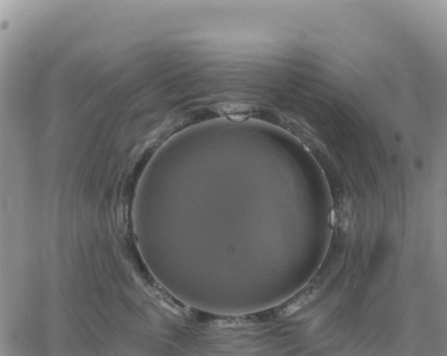 X0000061750763200512091635