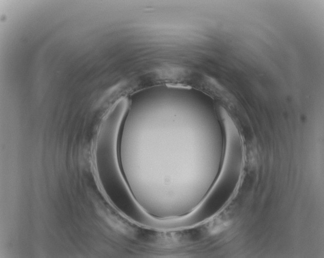 X0000061750764200512091636