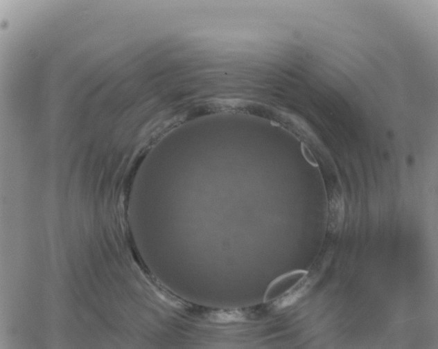 X0000061750765200512091636