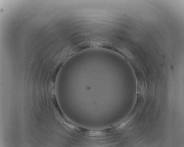 X0000061750766200512091636