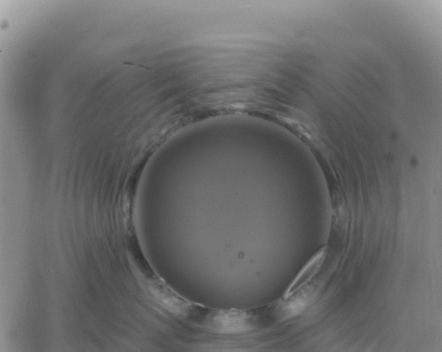 X0000061750767200512091636