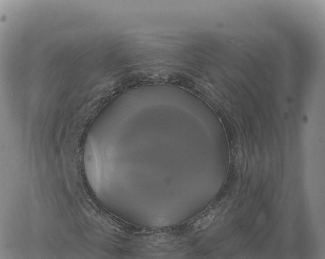 X0000061750769200512091635