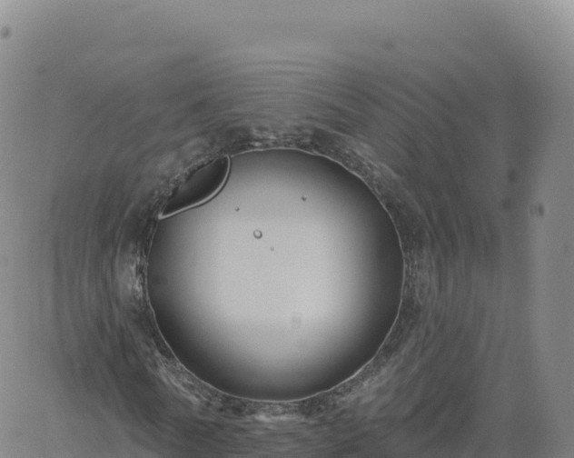 X0000061750770200512091635