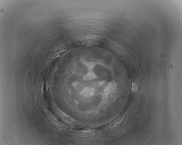 X0000061750771200512091635