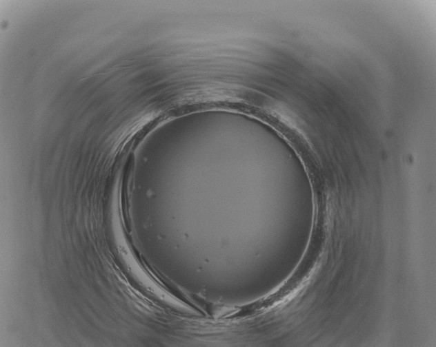 X0000061750777200512091635