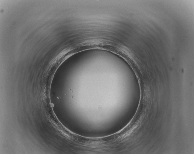 X0000061750778200512091635