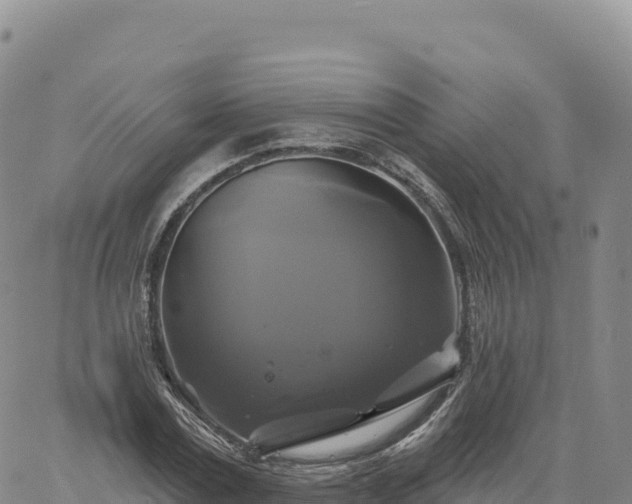 X0000061750779200512091635