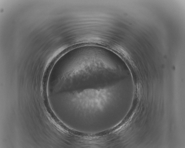 X0000061750780200512091635