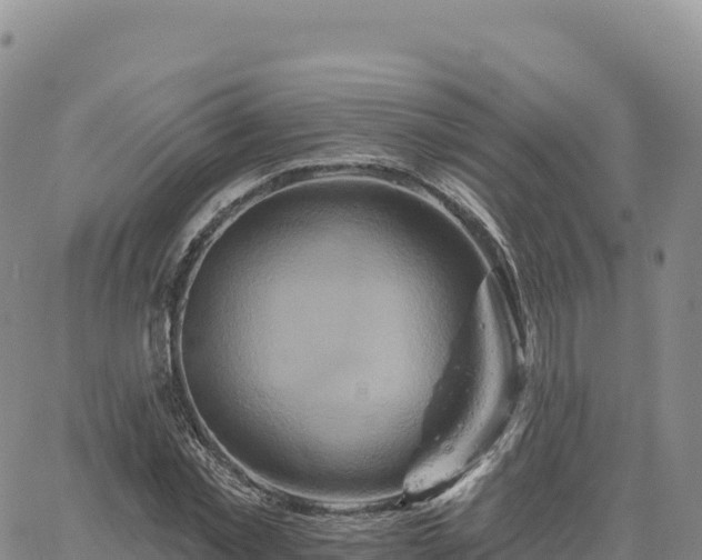 X0000061750781200512091635