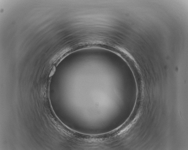 X0000061750785200512091635