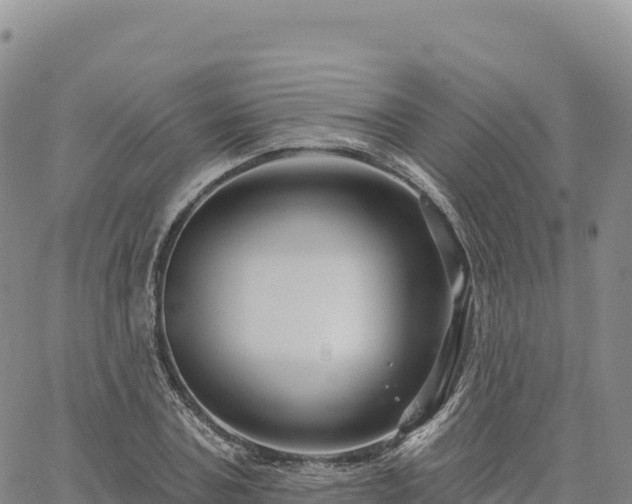 X0000061750787200512091634