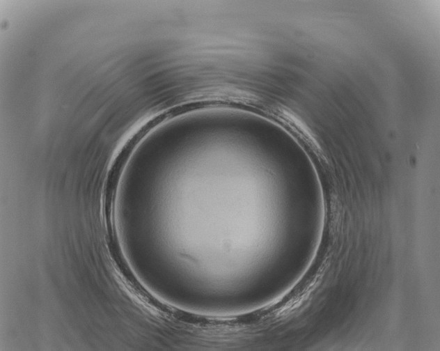 X0000061750788200512091634