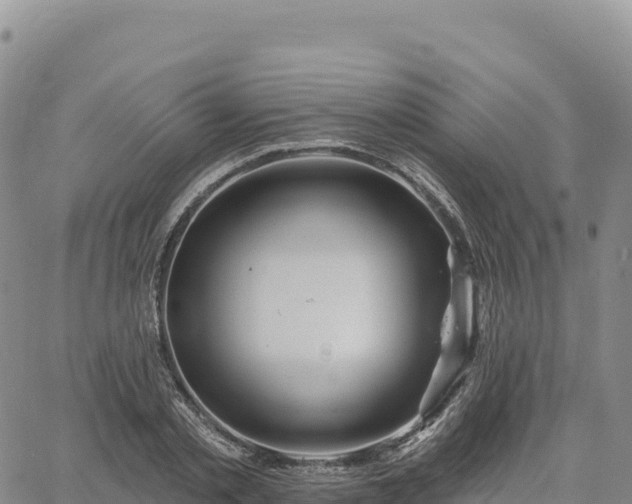 X0000061750789200512091634