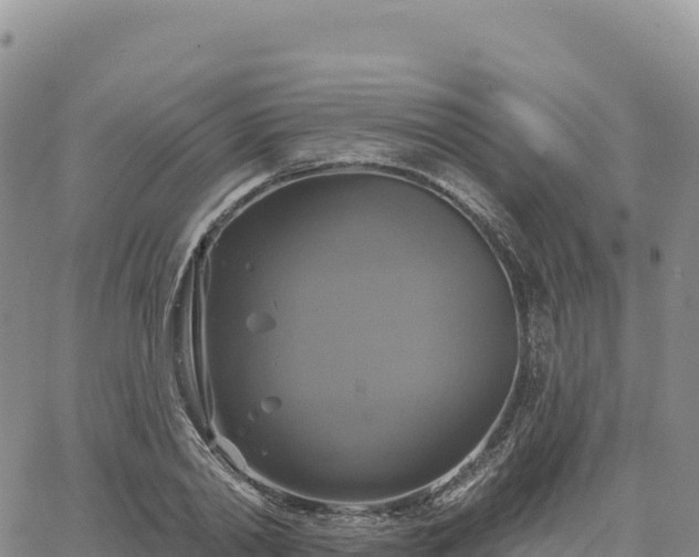 X0000061750790200512091634