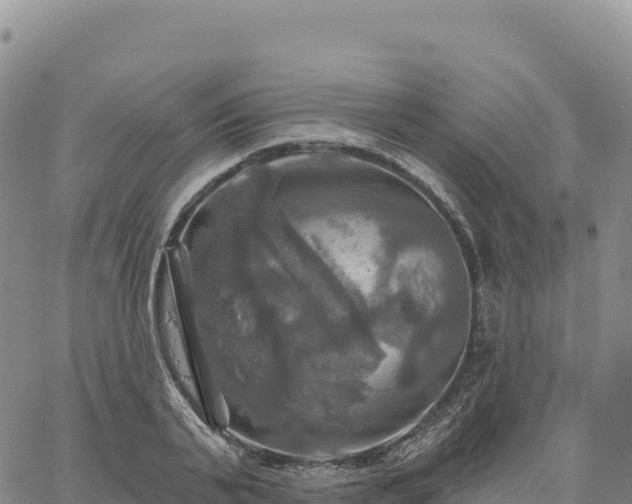 X0000061750791200512091634