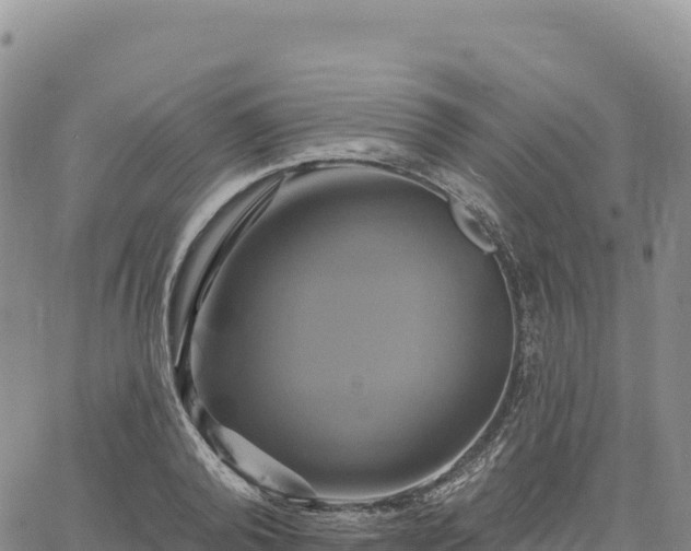 X0000061750792200512091634