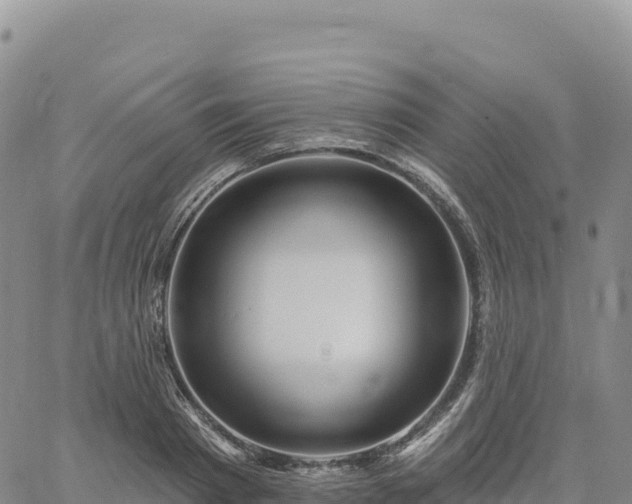 X0000061750793200512091634