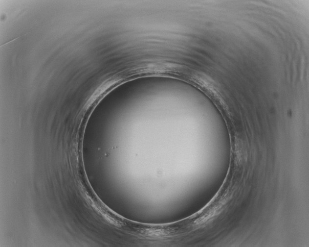 X0000061750794200512091634