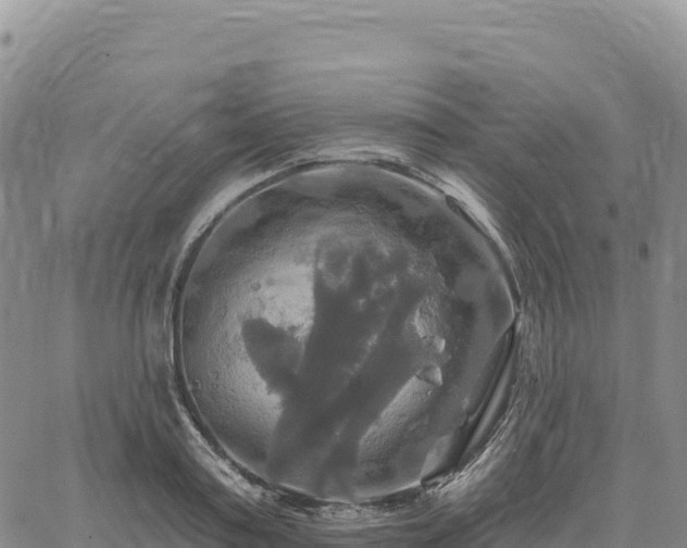 X0000061750795200512091634