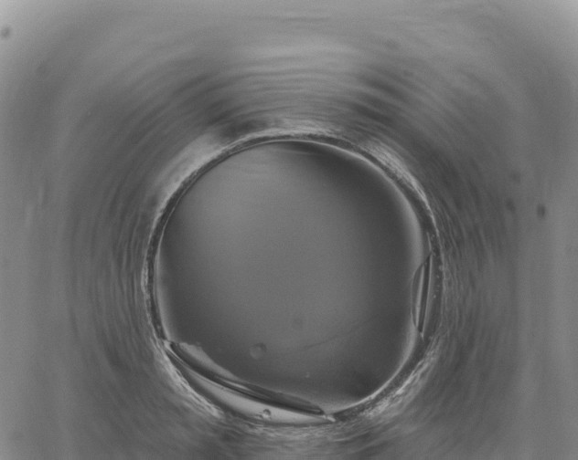 X0000061750797200512091634