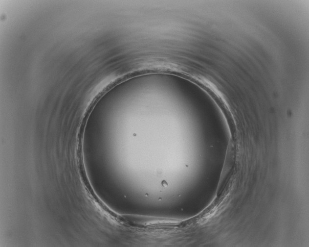 X0000061750799200512091634