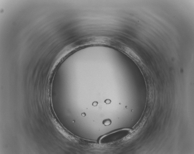 X0000061750800200512091634