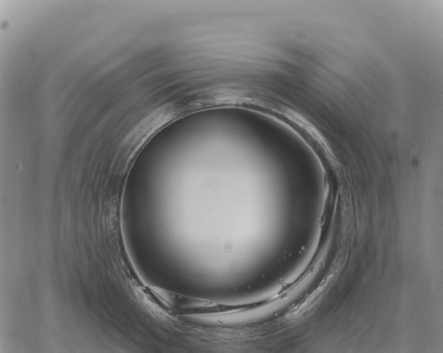 X0000061750801200512091634