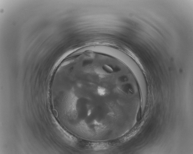 X0000061750803200512091634