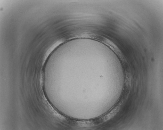 X0000061750804200512091634