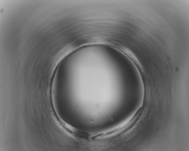 X0000061750805200512091634