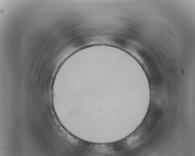 X0000061750807200512091634