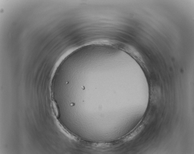 X0000061750808200512091634