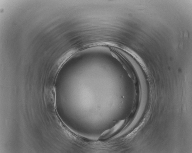 X0000061750809200512091634