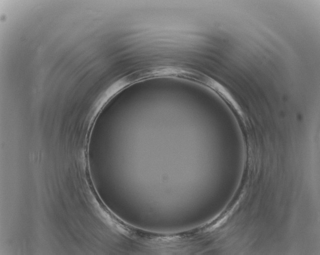 X0000061750810200512091634