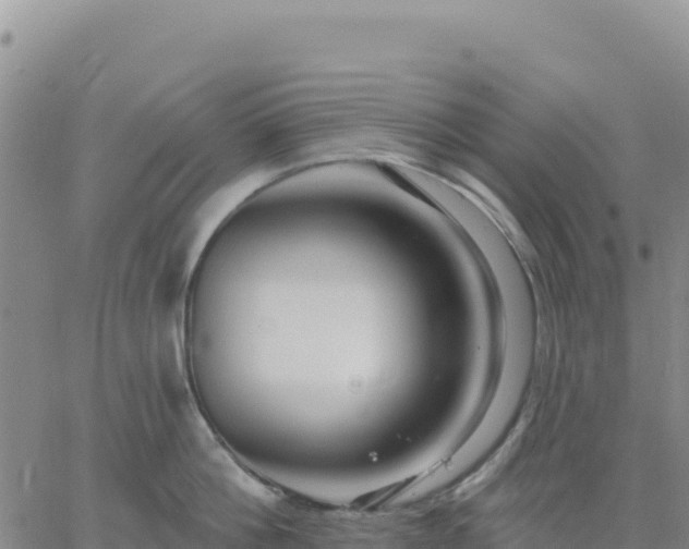 X0000061750812200512091634