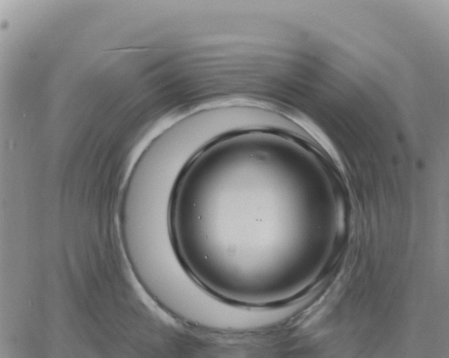 X0000061750813200512091634