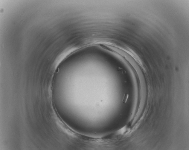 X0000061750814200512091634