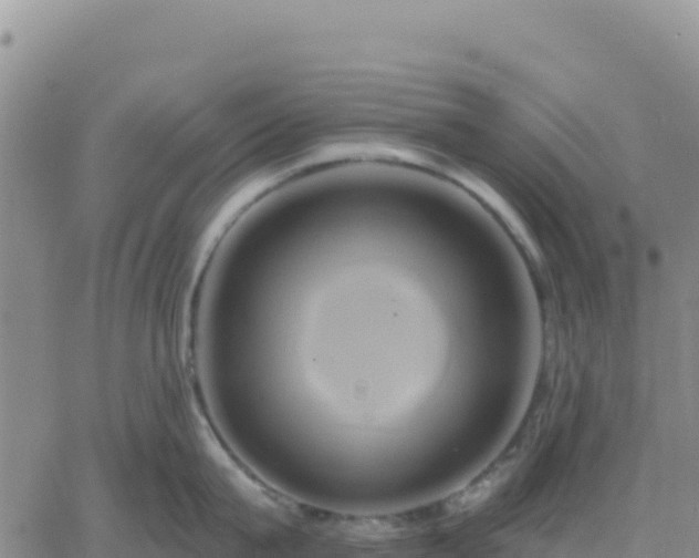 X0000061750815200512091634