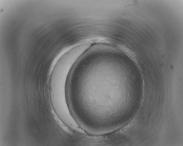 X0000061750816200512091634