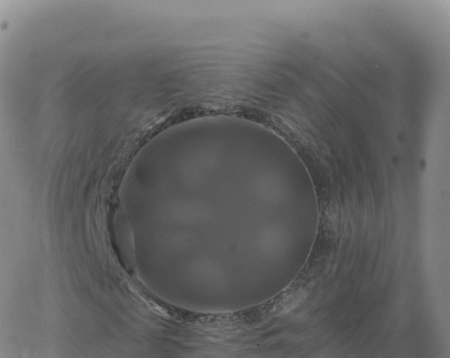 X0000061750817200512091633