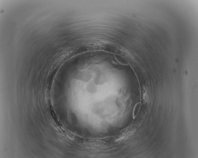 X0000061750819200512091633