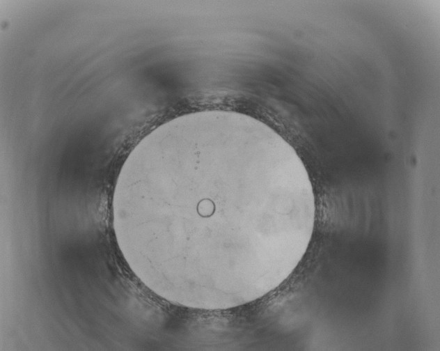 X0000061750820200512091633