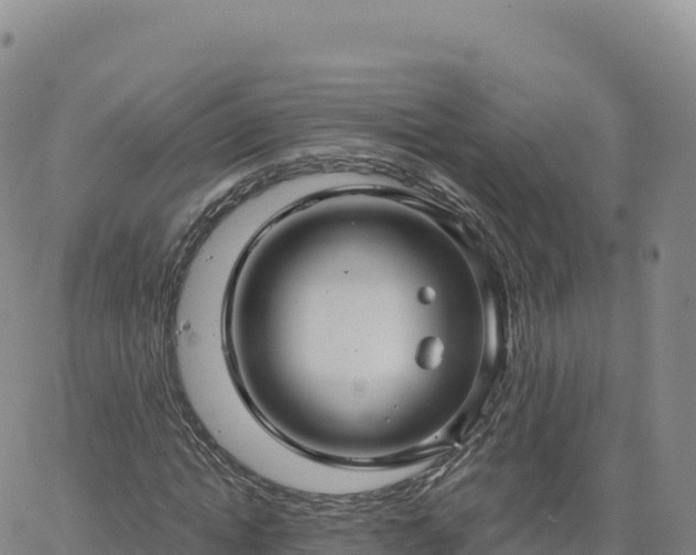 X0000061750822200512091633