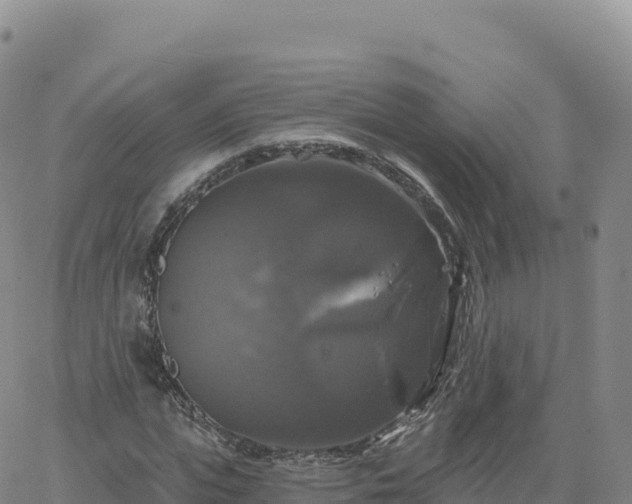 X0000061750823200512091633