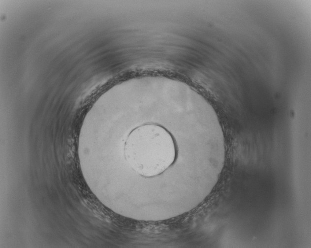 X0000061750824200512091633